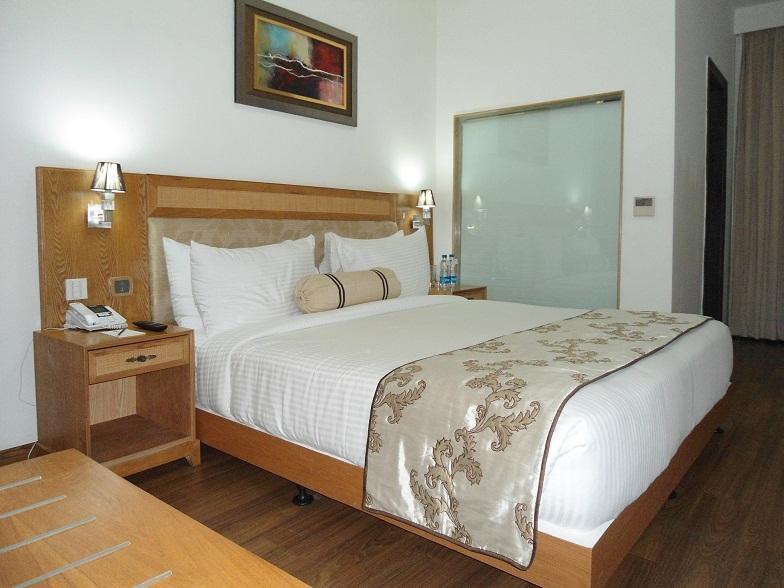 Comfort Inn Anneha New Delhi Cameră foto
